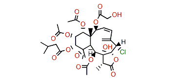 Gemmacolide K